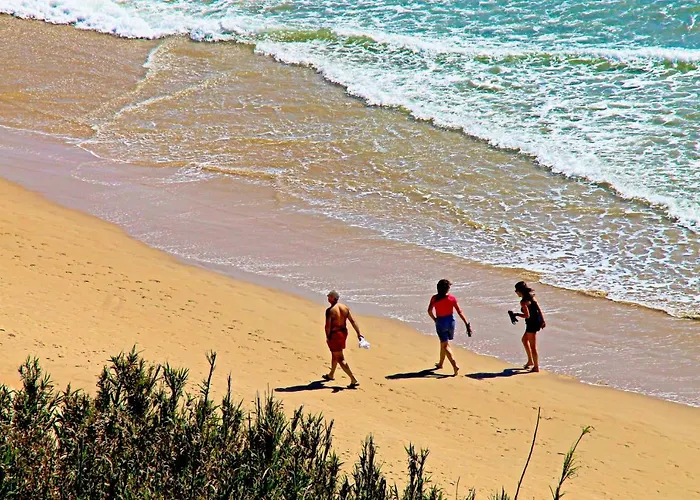 Appartement Con Piscina Comunitaria Conil De La Frontera